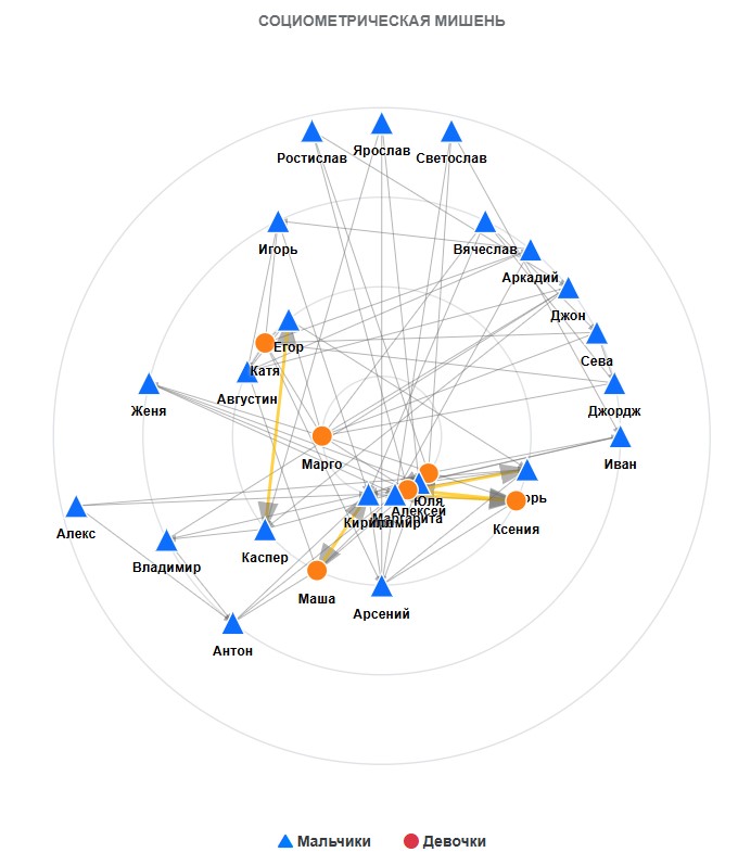 Рисунок 5 – Социометрическая мишень. Построение в онлайн формате